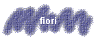 fiori