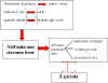 argoment2.jpg (26689 byte)