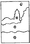 wpe64.gif (3720 byte)