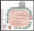 wpe20.jpg (8666 byte)